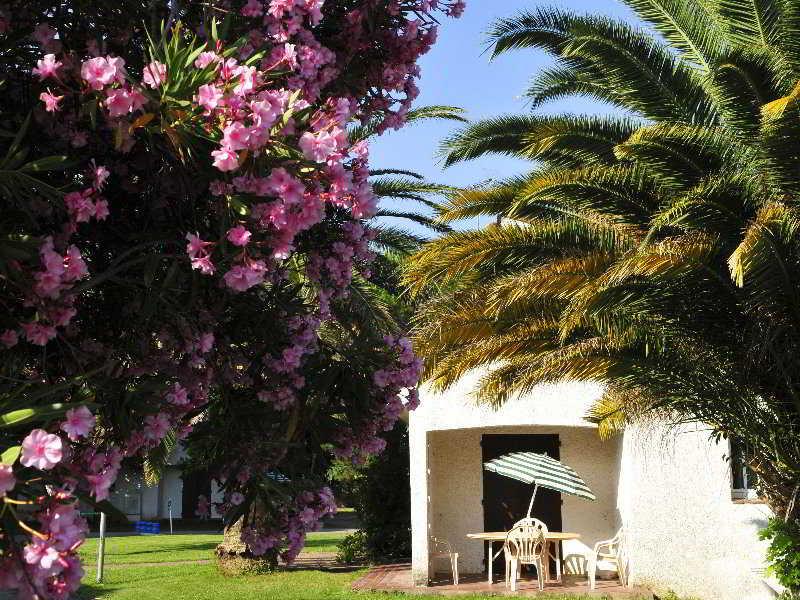 Hotel Le Domaine Du Mas Blanc By Popinns Alénya المظهر الخارجي الصورة